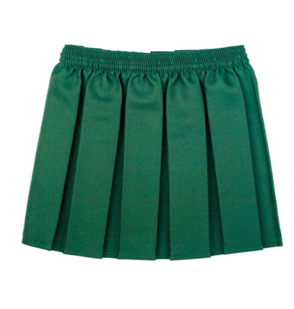 Girls Box Pleated Mini Skirt