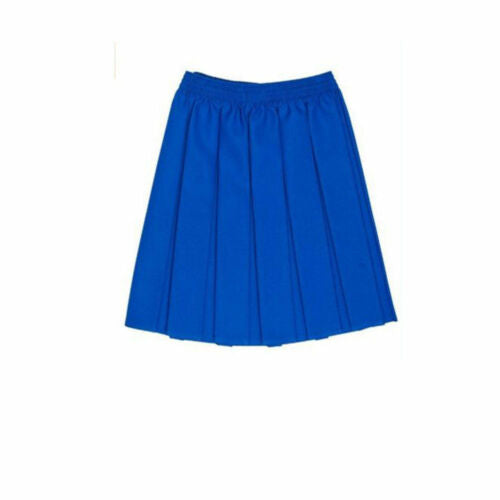 Girls Box Pleated Mini Skirt